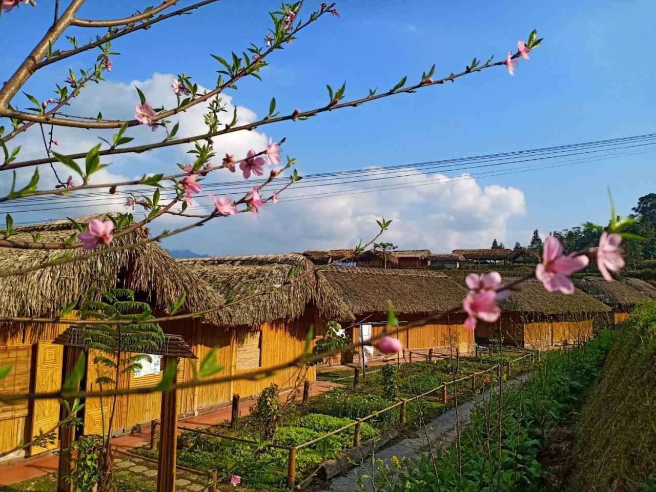 Dao Homestay Hoang Su Phi Экстерьер фото