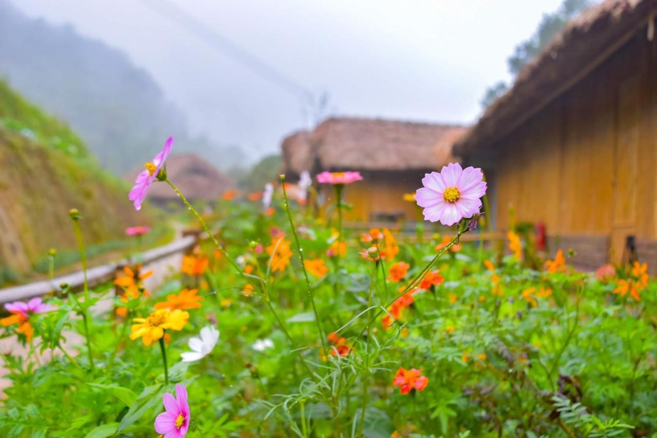 Dao Homestay Hoang Su Phi Экстерьер фото